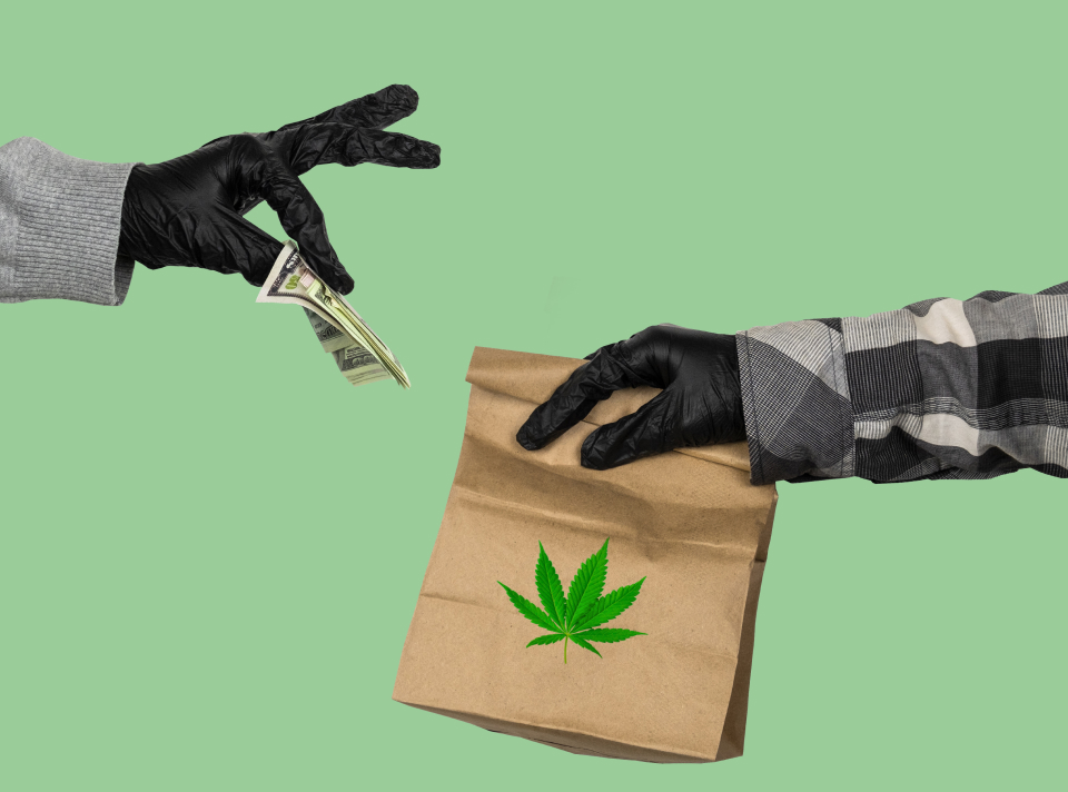 A step-by-step guide to starting a medical cannabis delivery service